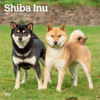 Shiba Inu Kalender 2026