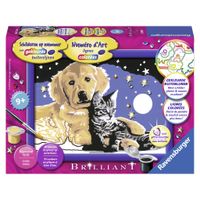 Ravensburger Schilderen Op Nummer Schitterende Sterrenhemel - thumbnail