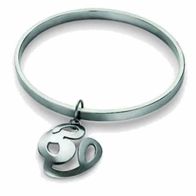 Breil TJ0521 Zilverkleurig 21 cm Dames armband
