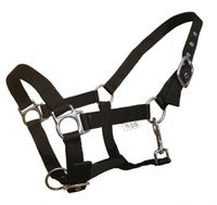 S2G halster Standard Haflinger verstelbaar nylon zwart - thumbnail