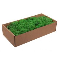 Doosje decoratie/hobby mos naturel 500 gram