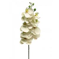 Phalaenopsis Orchidee Bora 77 cm wit kunstbloem - Nova nature