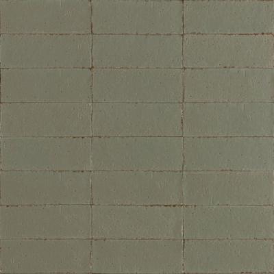Ragno Glace RAEX Wandtegel 075X200 Muschio 9mm Glans