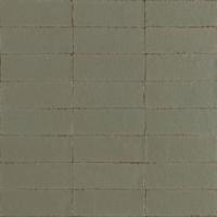 Ragno Glace RAEX Wandtegel 075X200 Muschio 9mm Glans