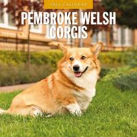 Welsh Corgi Pembroke Kalender 2026