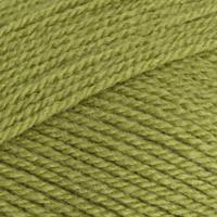 Stylecraft special DK 1065 meadow Stylecraft special DK 1065 meadow