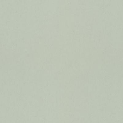 Dutch Wallcoverings Fagelsang - Uni Mint