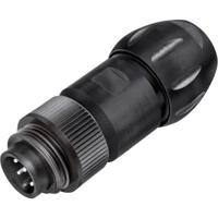 binder 99 4221 300 04 Ronde subminiatuurconnector Stekker, recht Totaal aantal polen: 3 + PE 1 stuk(s)