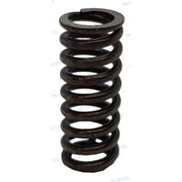 PAT40-10020304 - LENTE Parsun