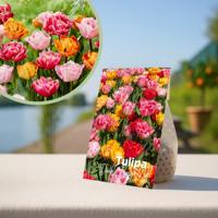 Tulpenbollen mix &apos;Vroege voorjaarsglorie&apos; - 20 stuks