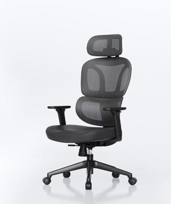Ergonomische bureaustoel BS5, dubbele rugleuning, optie voetensteun