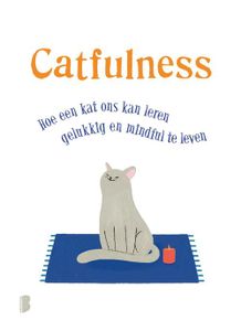 Catfulness - Paolo Valentino - ebook