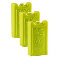 Plasticforte Koelelementen - 6x stuks - 250 grams - 13 x 7.5 cm - groen - kunststof