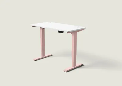 Desktronic HomePro bureau Zachtroze / Wit / 120x60 cm