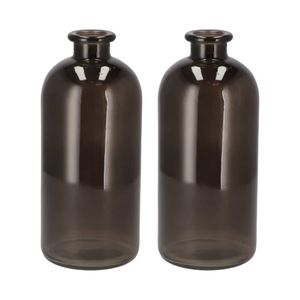 Bloemenvaas fles model - 2x - helder gekleurd glas - zwart - D11 x H25 cm