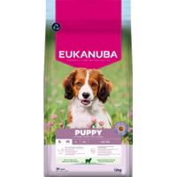 Eukanuba Puppy Small Medium met lam & rijst hondenvoer 12 kg
