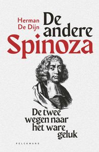 De andere Spinoza - Herman De Dijn - ebook