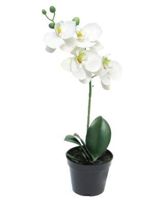 RT Phalaenopsis Bora x1 in pot 35 cm white kunstbloemen - Nova nature