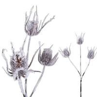 PTMD Kunstplant Distel - 47x27x88 cm - Kunststof - Goud