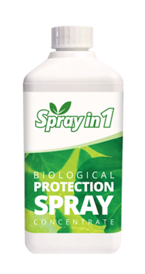 Woma Spray in 1 - 500ml