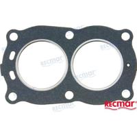 REC802307 - CILINDERKOPPAKKING Bombardier