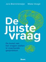 De juiste vraag (Paperback)