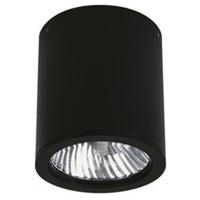 Albert Plafondverlichting buitenYori 12w - zwart - 662380
