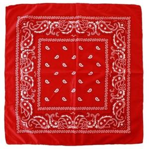 Carnaval verkleed boeren zakdoek - 2x - rood - 55 x 55 cm - themafeest - boerenlente feest