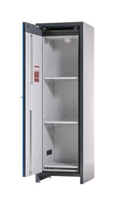 Asecos Brandkast safestore-core