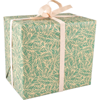 Cadeaupapier 50cm 100m 65gr bruin kraft Leaves green