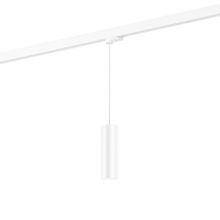 Wever & Ducre - Ray on track (1F) 2.0 PAR16 Hanglamp