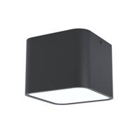 EGLO Grimasola plafondlamp - E27 - 14 cm - Zwart