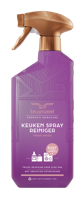 Bruynzeel Cosmetic Homecare Keukenreinigerspray Fresh Wood