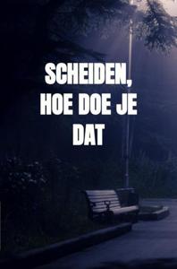 Scheiden, hoe doe je dat - R.M. van Schaik - ebook