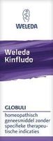 Kinfludo - thumbnail