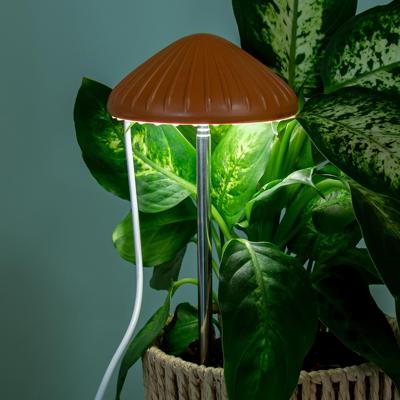Paddenstoel plantenlamp Paddenstoel plantenlamp