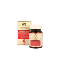Maharishi Ayurv Ayurvedische ijzerrasayana bio 60 Tabletten