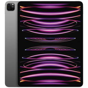 Apple iPad Pro 12.9 (6e generatie) WiFi 2 TB Spacegrijs iPad 32.8 cm (12.9 inch) Apple M2 iPadOS 16 2732 x 2048 Pixel