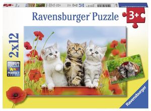 Ravensburger puzzel 2x12 stukjes katjes op ontdekkingsreis