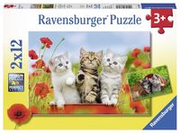 Ravensburger puzzel 2x12 stukjes katjes op ontdekkingsreis