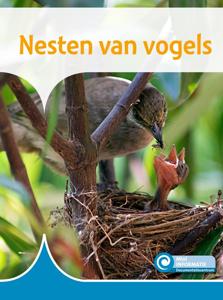 Nesten van vogels (Hardback)