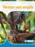 Nesten van vogels (Hardback)