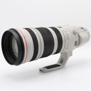 Canon EF 200-400mm F/4.0 L iS USM Extender 1,4x occasion