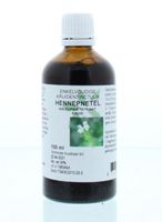 Natura Sanat Galeopsis tetrahit herb / hennepnetel tinctuur (100 ml)