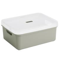 Sunware opbergbox/mand/kist - 24 liter - lichtgroen - kunststof - met transparante deksel