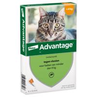Advantage Nr. 40, Vlooienmiddel (tot 4kg) kat 1 verpakking