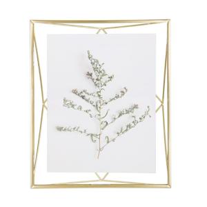 Umbra Prisma fotolijst 25x30x8cm staal goud mat 313018-221