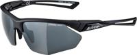 Alpina Nylos HR - Sports Glasses
