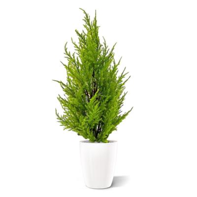 Conifeer kunstplant 45cm - geel/groen