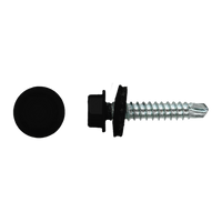 pgb-Europe PGB-FASTENERS | Zelfborende schroef bp1 4,8x35 Zn R9005 ZBG141001004890053